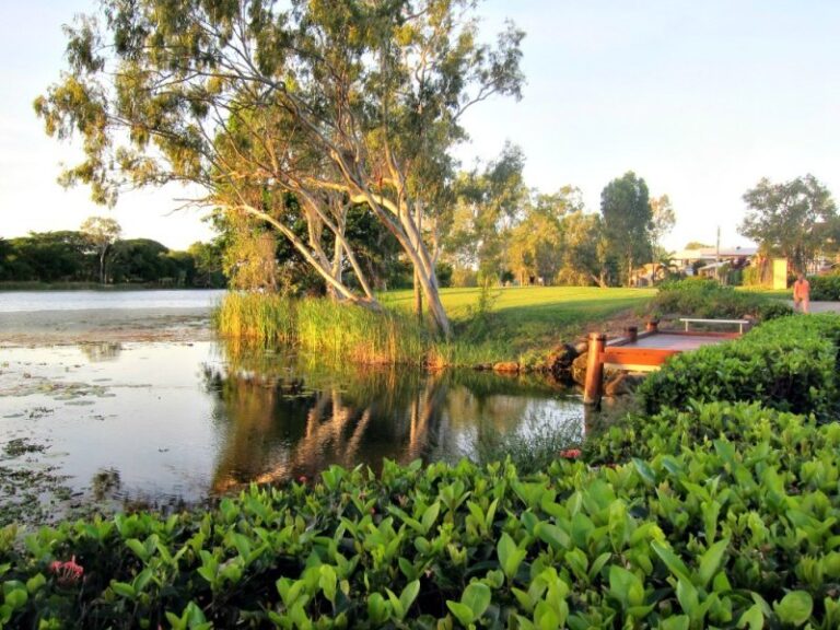 Sold - 17 Columbia Way - New Property in DOUGLAS - Real Estate by McGrath Townsville