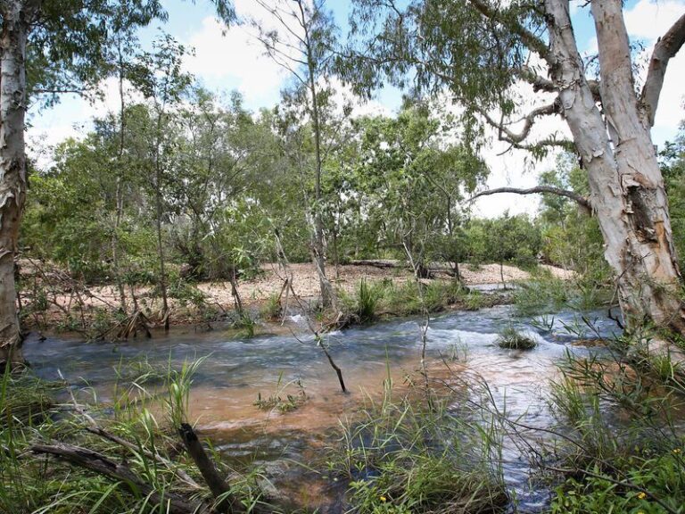Sold - 360 Forestry Road - New Property in BLUEWATER PARK - Real Estate by McGrath Townsville