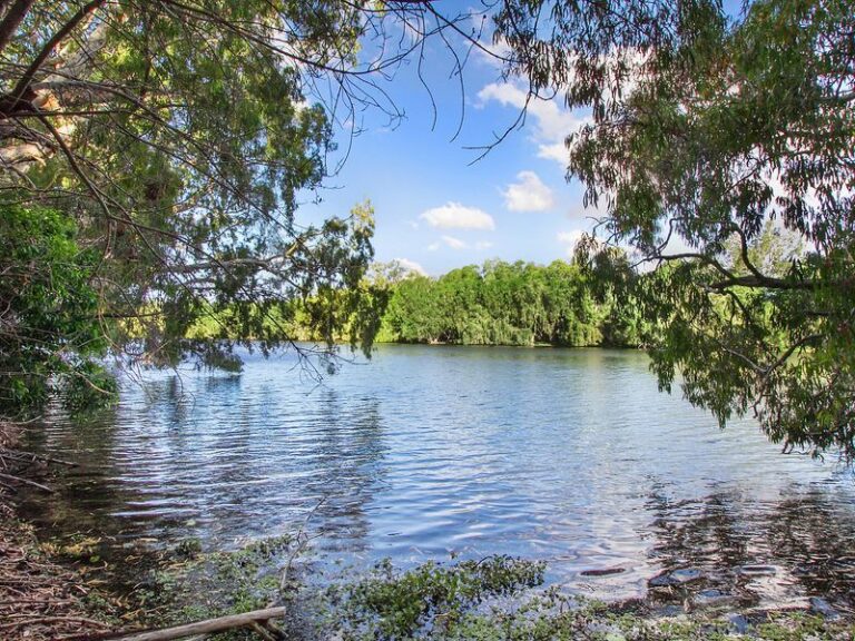 Sold - 8 Isabella Court - New Property in CRANBROOK - Real Estate by McGrath Townsville
