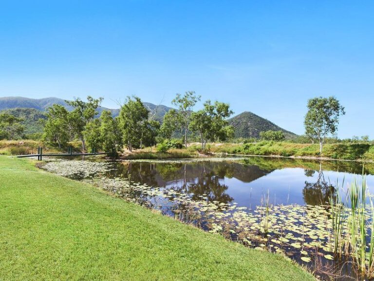 Sold - 242 Mountview Drive - New Property in TOONPAN - Real Estate by McGrath Townsville
