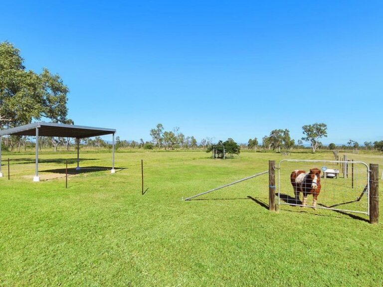 Sold - 242 Mountview Drive - New Property in TOONPAN - Real Estate by McGrath Townsville