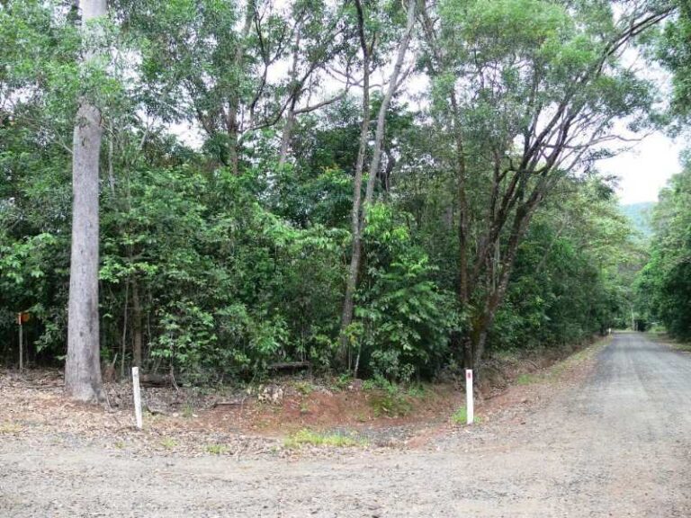 Sold - 96 Cedar Road - New Property in PORT DOUGLAS - Real Estate by McGrath Townsville
