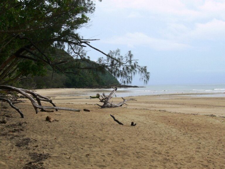 Sold - 96 Cedar Road - New Property in PORT DOUGLAS - Real Estate by McGrath Townsville