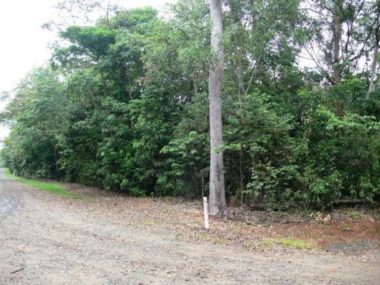 Sold - 96 Cedar Road - New Property in PORT DOUGLAS - Real Estate by McGrath Townsville