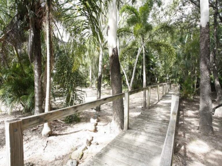 Sold - 21 Rivergum Court - New Property in CONDON - Real Estate by McGrath Townsville