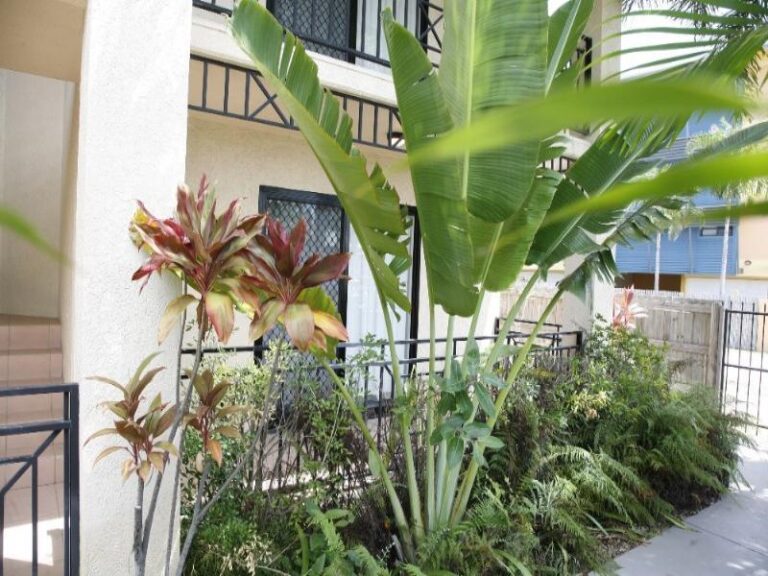 Sold - 2/48 Mitchell Street - New Property in NORTH WARD - Real Estate by McGrath Townsville