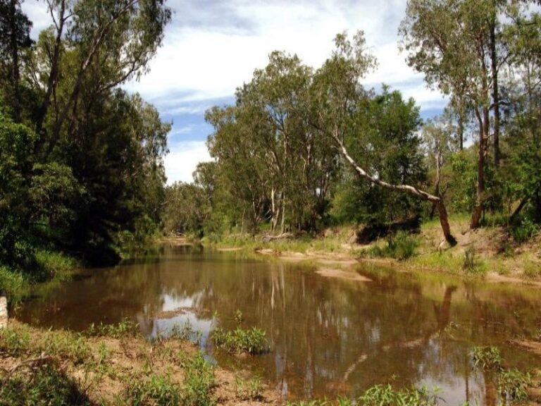 Sold - 13 Alice Crt - New Property in ALICE RIVER - Real Estate by McGrath Townsville