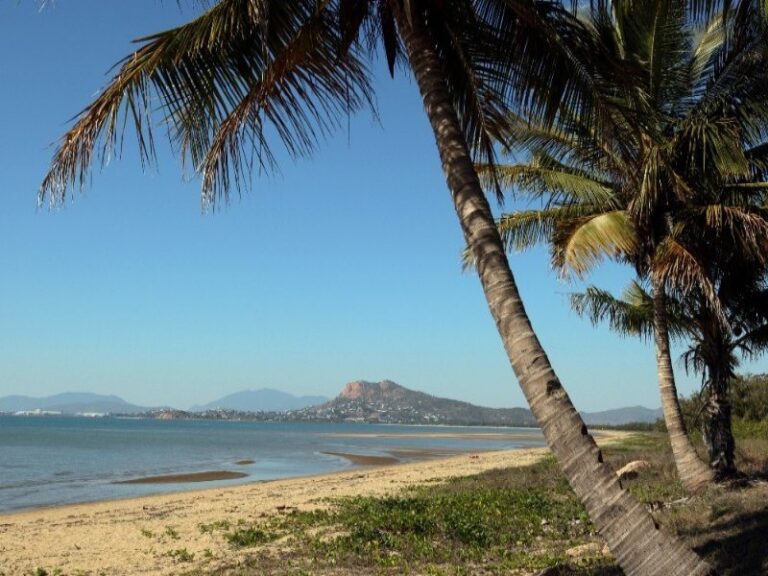 Sold - 13 Buckby Street - New Property in PALLARENDA - Real Estate by McGrath Townsville