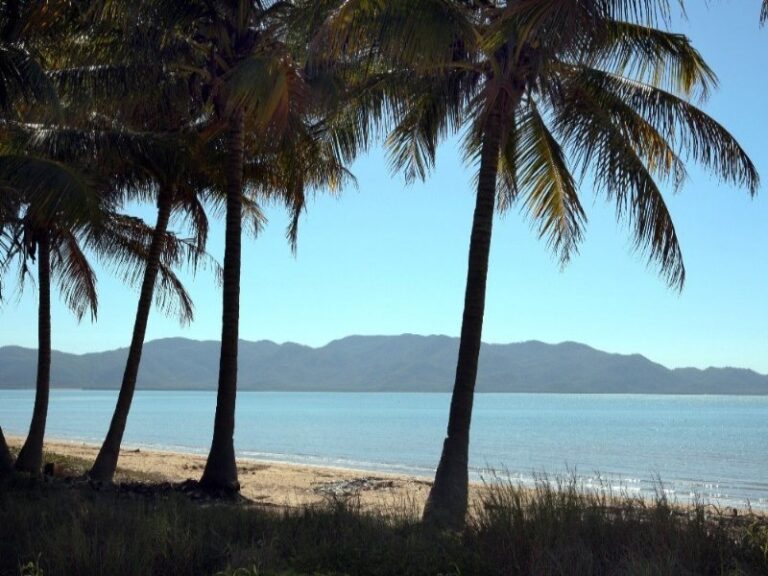 Sold - 13 Buckby Street - New Property in PALLARENDA - Real Estate by McGrath Townsville