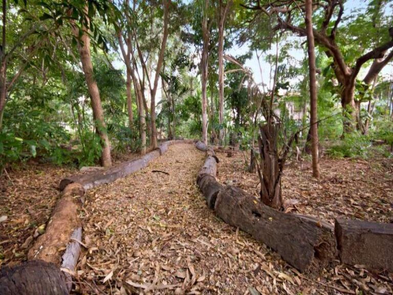 Sold - 6 Second Avenue - New Property in RAILWAY ESTATE - Real Estate by McGrath Townsville
