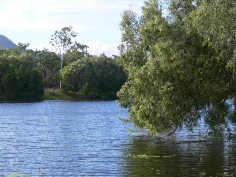 Sold - 46 Estuary Parade - New Property in DOUGLAS - Real Estate by McGrath Townsville
