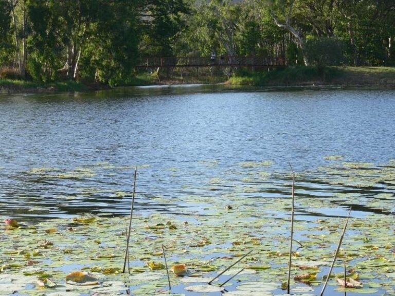 Sold - 46 Estuary Parade - New Property in DOUGLAS - Real Estate by McGrath Townsville