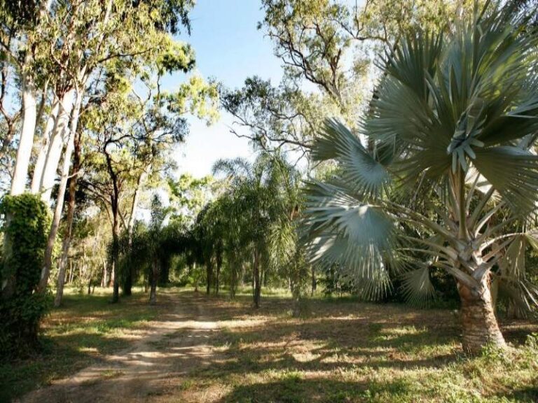Sold - 25 Riley Road - New Property in CAPE CLEVELAND - Real Estate by McGrath Townsville
