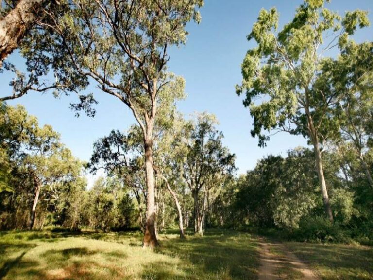 Sold - 25 Riley Road - New Property in CAPE CLEVELAND - Real Estate by McGrath Townsville