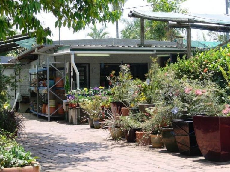 Sold - 2 Lindeman Avenue - New Property in CRANBROOK - Real Estate by McGrath Townsville