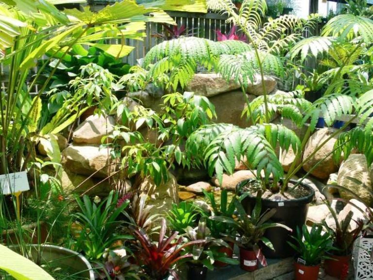 Sold - 2 Lindeman Avenue - New Property in CRANBROOK - Real Estate by McGrath Townsville