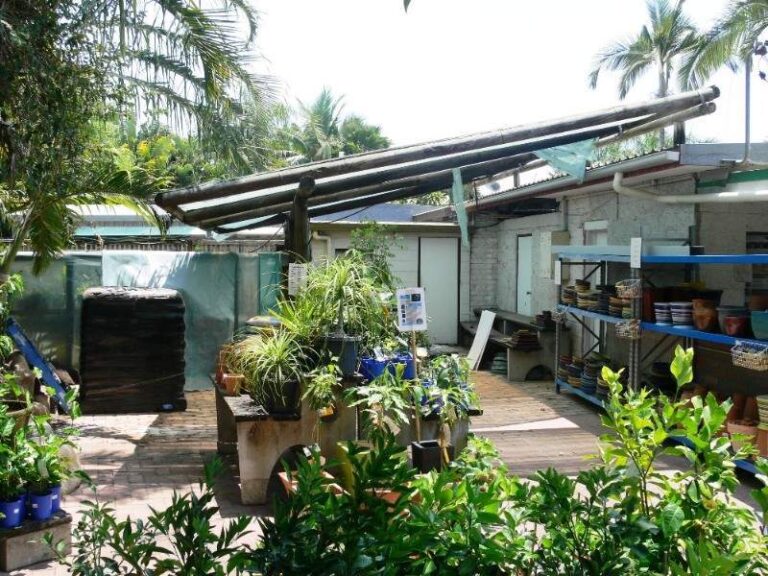 Sold - 2 Lindeman Avenue - New Property in CRANBROOK - Real Estate by McGrath Townsville