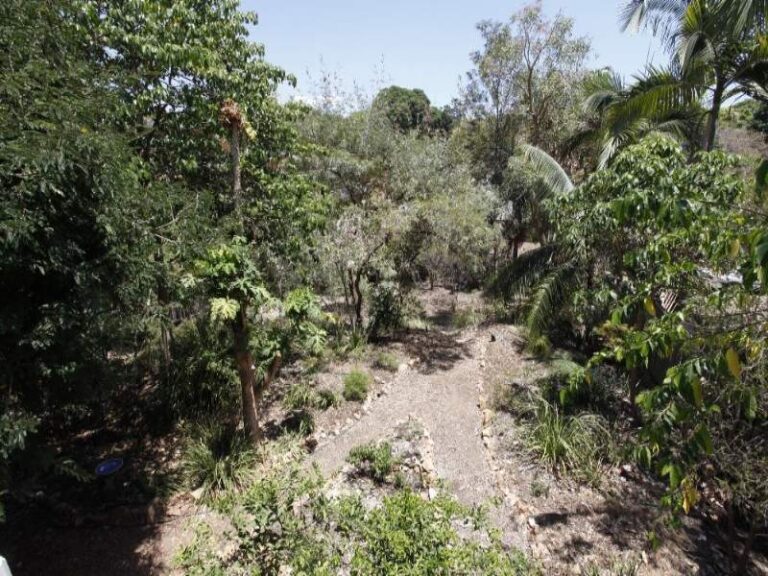 Sold - 28 Queen Street - New Property in NORTH WARD - Real Estate by McGrath Townsville