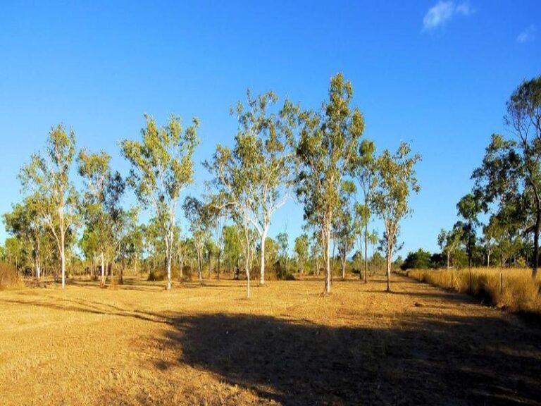 Sold - 9 Nora Road - New Property in BLACK RIVER - Real Estate by McGrath Townsville
