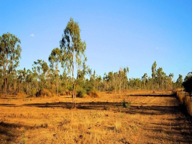 Sold - 9 Nora Road - New Property in BLACK RIVER - Real Estate by McGrath Townsville