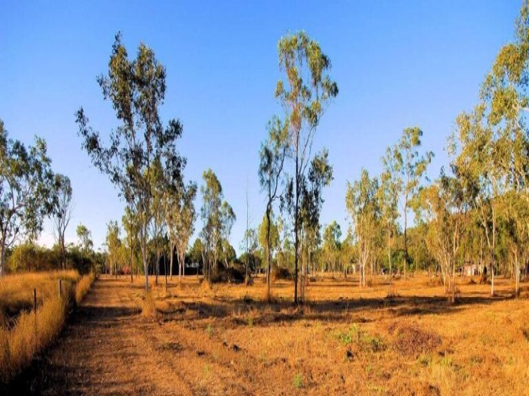 Sold - 9 Nora Road - New Property in BLACK RIVER - Real Estate by McGrath Townsville