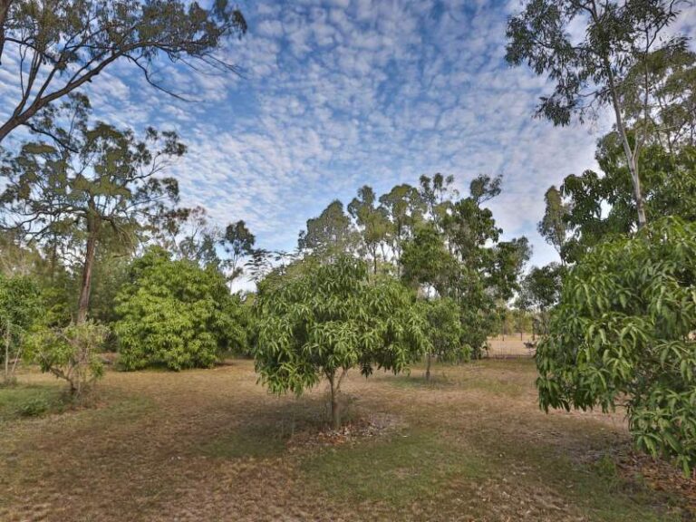 Sold - 6 Palamino Place - New Property in KELSO - Real Estate by McGrath Townsville