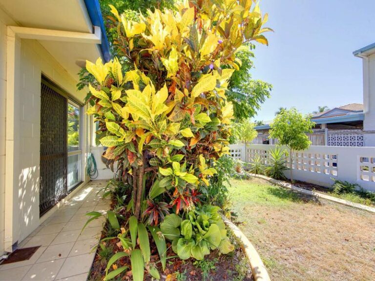 Sold - 3/135 Eyre Street - New Property in NORTH WARD - Real Estate by McGrath Townsville