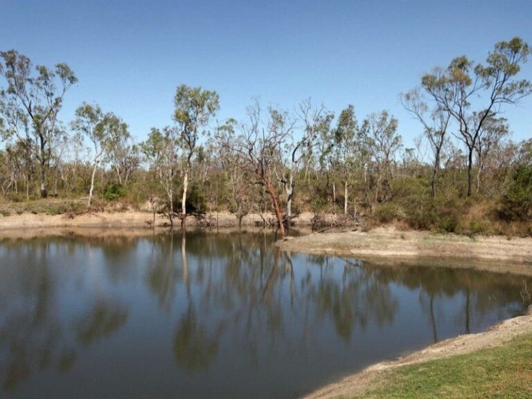 Sold - 91 Gieseman Road - New Property in BLACK RIVER - Real Estate by McGrath Townsville