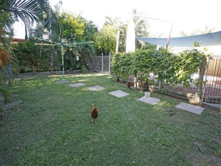 Sold - 32 Raintree Way - New Property in THURINGOWA CENTRAL - Real Estate by McGrath Townsville