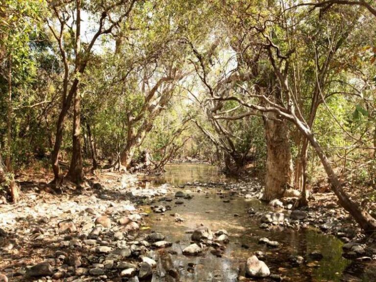 Sold - 25 Mt Panorama Drive - New Property in ALLIGATOR CREEK - Real Estate by McGrath Townsville