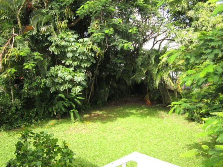 Sold - 11 Faust Court - New Property in AITKENVALE - Real Estate by McGrath Townsville