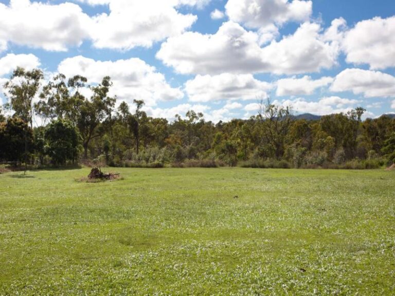 Sold - 410 Forestry Road - New Property in BLUEWATER PARK - Real Estate by McGrath Townsville