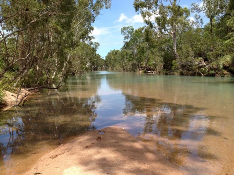 Sold - 410 Forestry Road - New Property in BLUEWATER PARK - Real Estate by McGrath Townsville