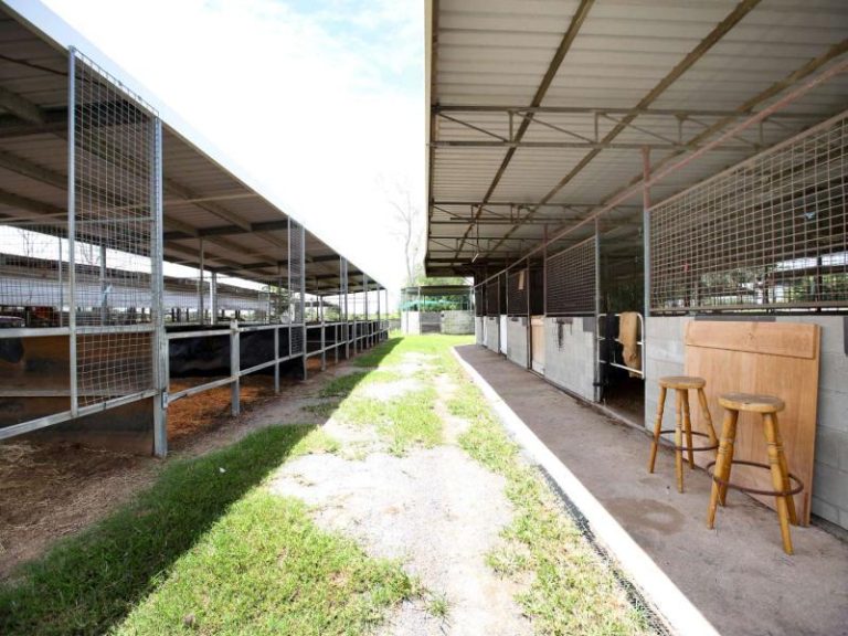 Sold - 16 Minehane Street - New Property in CLUDEN - Real Estate by McGrath Townsville