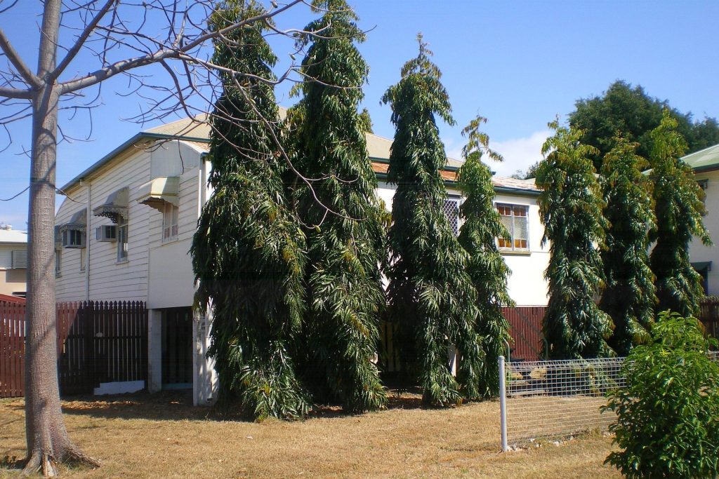 Sold - 45 Davidson Street - New Property in South Townsville - Real Estate by Jake Murphy