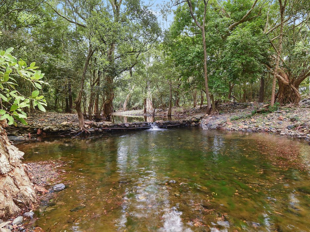 Sold - 19 Mount Panorama Drive - New Property in Alligator creek - Real Estate by Brad Matheson